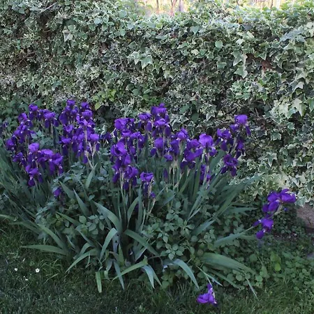 Casa Lorenzo Appartement *