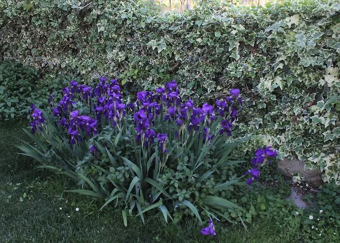 Casa Lorenzo Appartement *